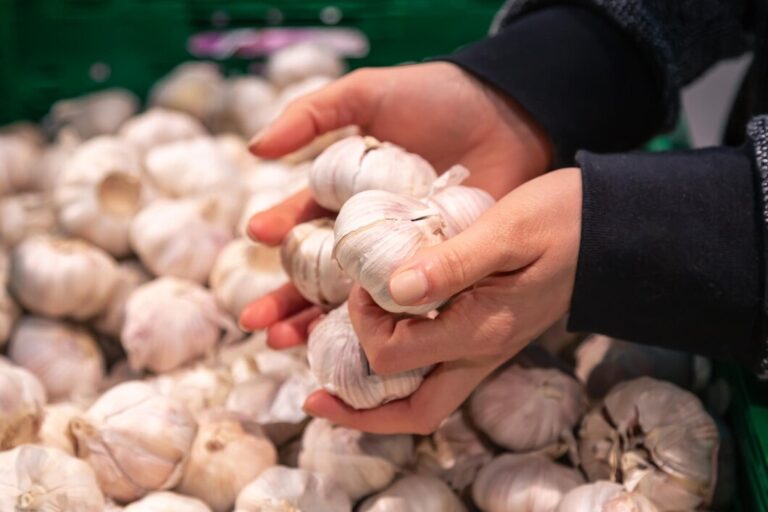 Processing & Packaging